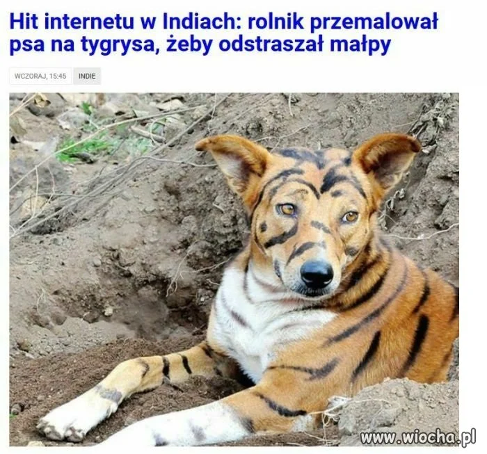 Ważne, że działa