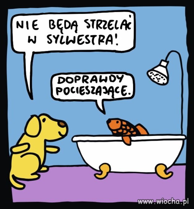 Za psa dostaniesz więcej jak za człowieka.