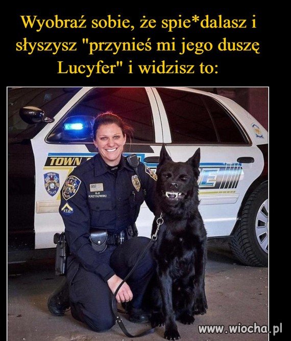 Lucyfer 