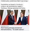 Brak słów 