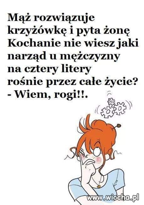Ot i wyjaśniła się prawda...?