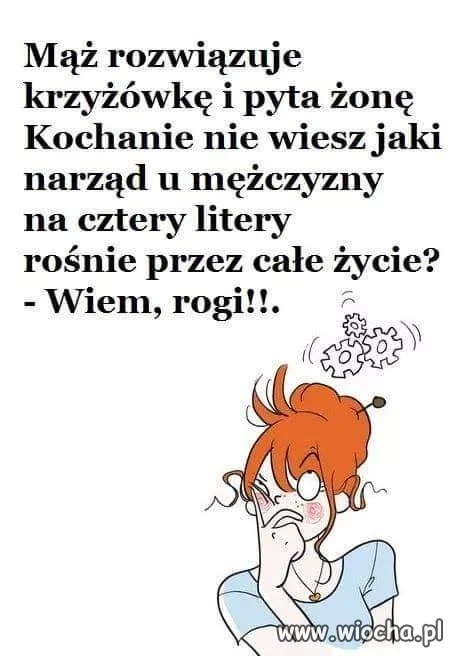 Ot i wyjaśniła się prawda...?