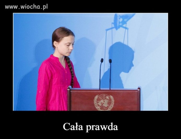 100 %