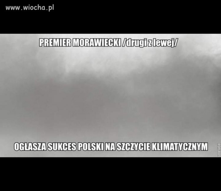 Gratulacje