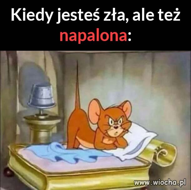 Coś dla 