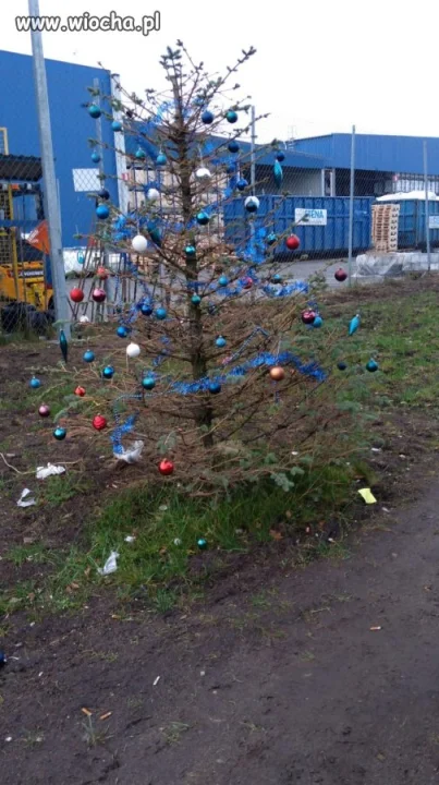 Piękne drzewko