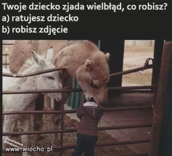 No właśnie 