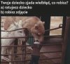 No właśnie 