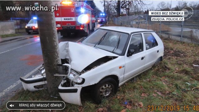 Wiozła świątecznego karpia, ryba wskoczyła jej na kolana.