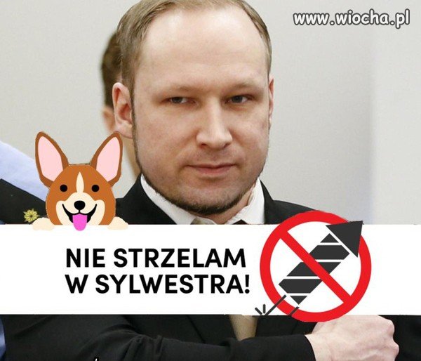 Nie strzelam...