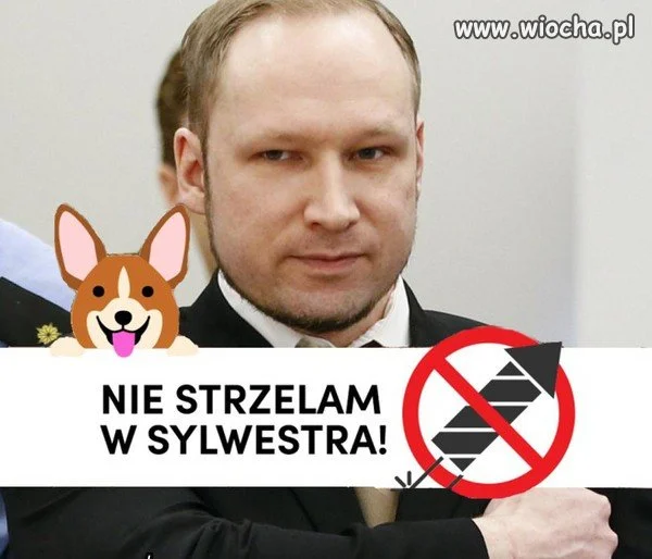 Nie strzelam...