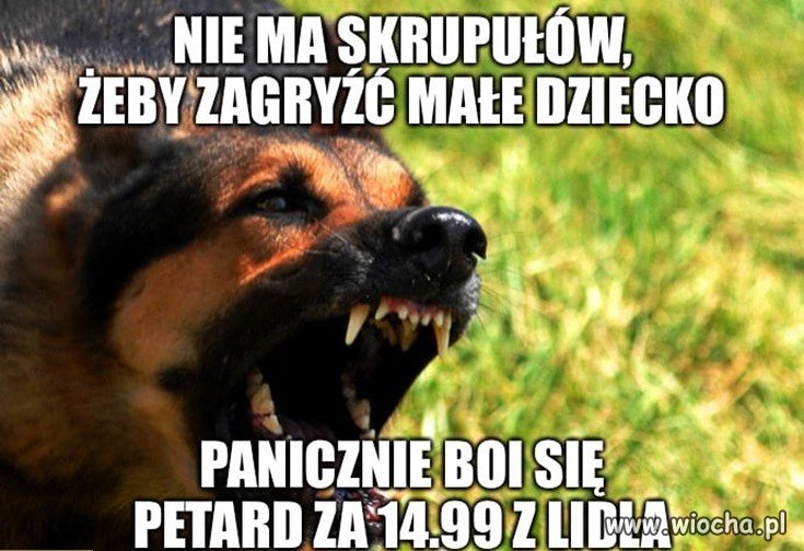 Odwet