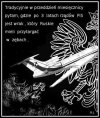Gdzie jest wrak?