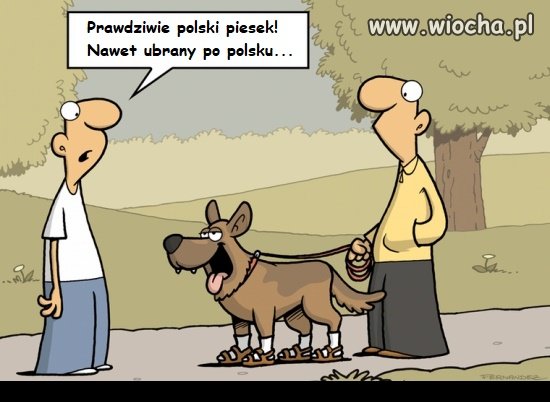 Prawdziwie polski piesek