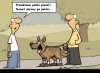 Prawdziwie polski piesek