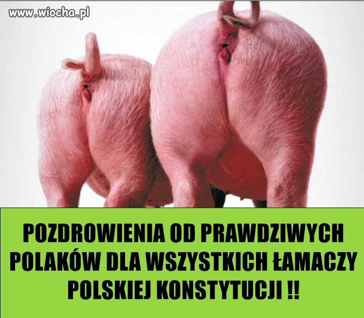 Trafione pozdrowienia
