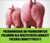 Trafione pozdrowienia