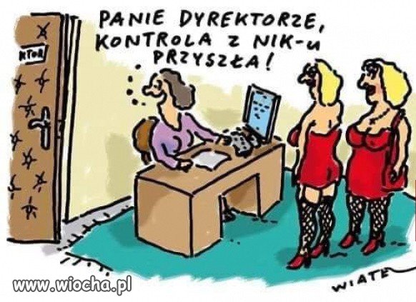 Kontrola NIK-u 