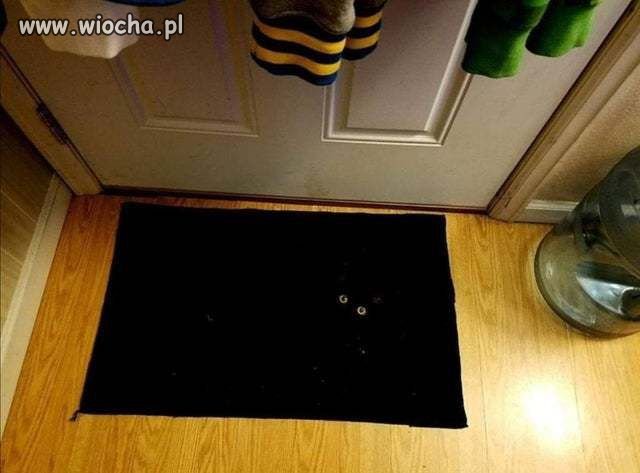 Kamuflaż 