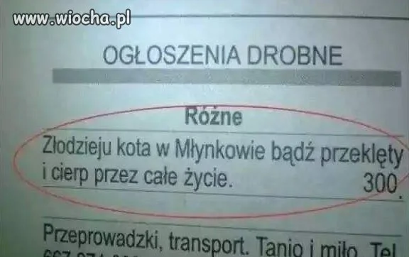 Tymczasem