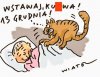 Rocznica przebudzenia koło południa