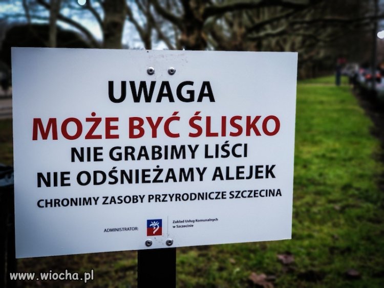 Jak brak kasy wytłumaczyć ekologią