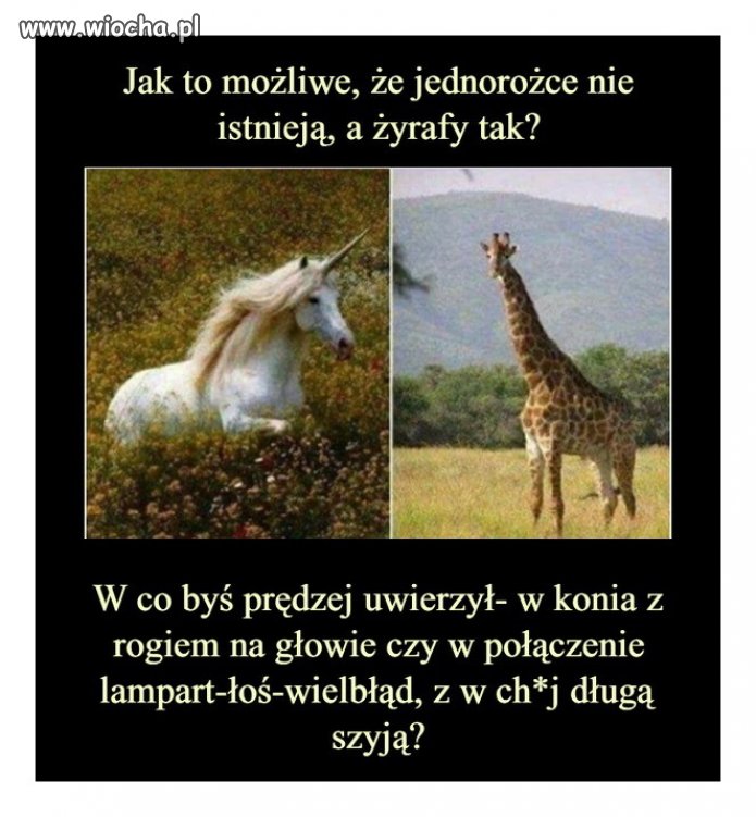 Trudne pytanie