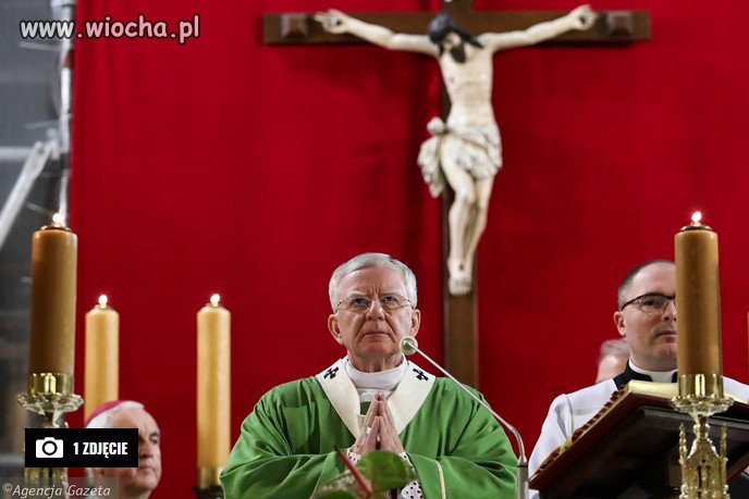 Abp Jędraszewski: Ekologizm jest sprzeczny z Biblią