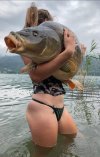 Karp na święta