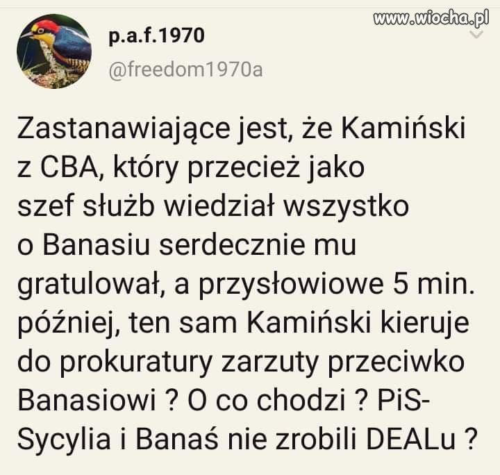 Co oni