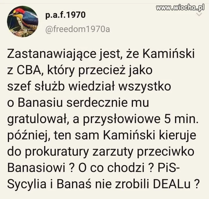 Co oni