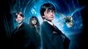 Dyrektor szkoły wycofała książkę Harry Potter z listy lektur.