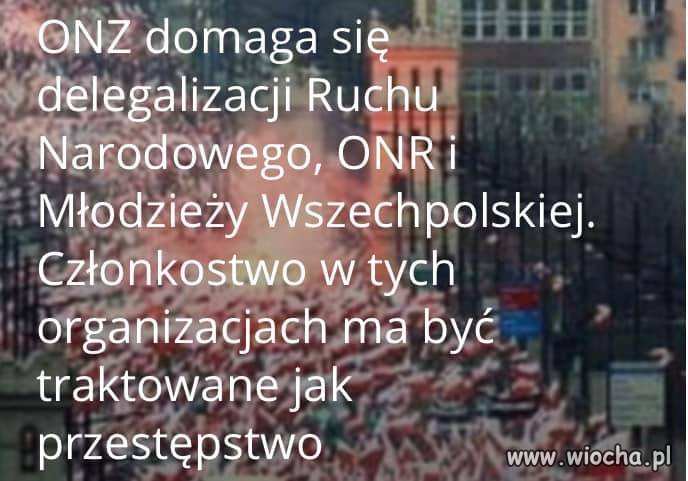 Pod rządami pis nikt ich nie ruszy
