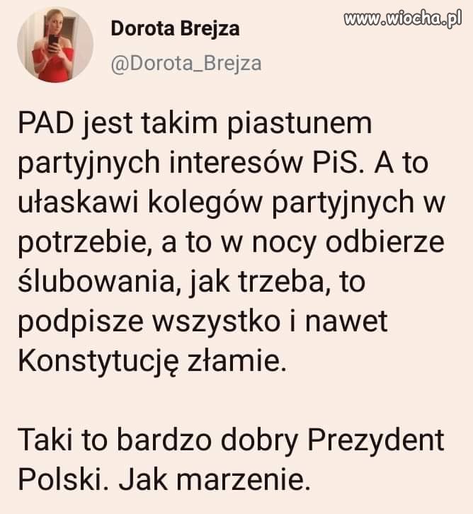 Prezydent