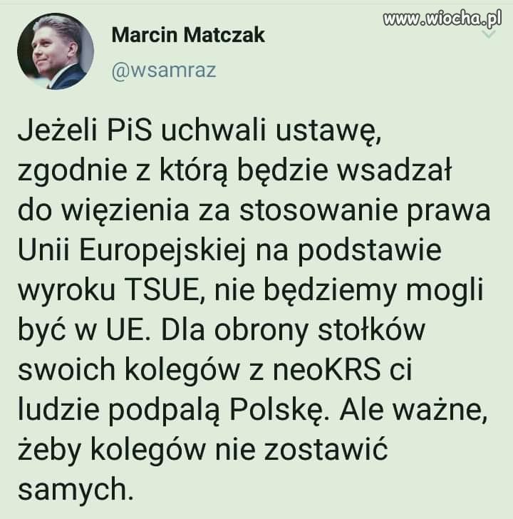 Koledzy 