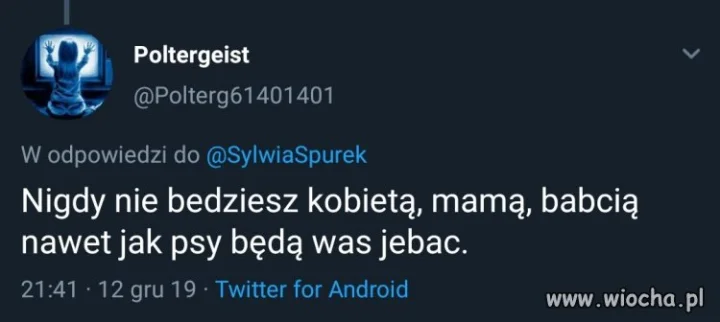 Polskie chamy