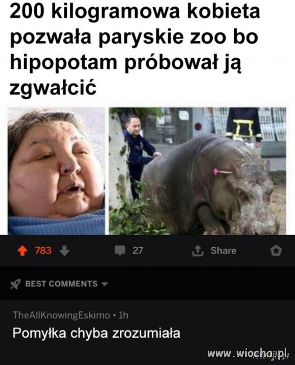Pomyłka 