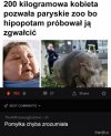 Pomyłka 