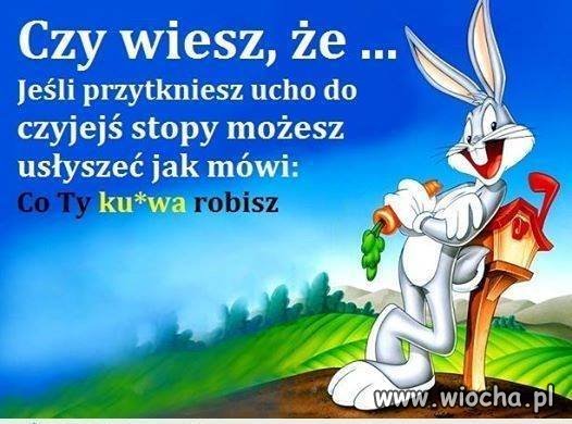 Też tak slyszysz