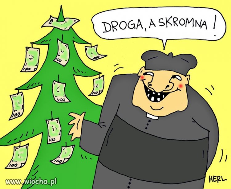 Czas ubierać choinkę