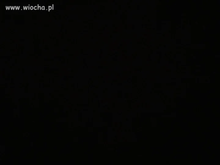 Spacer z psem