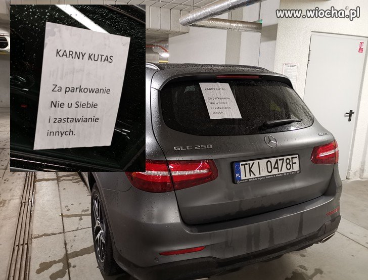Karny Kutas ciągle w modzie.