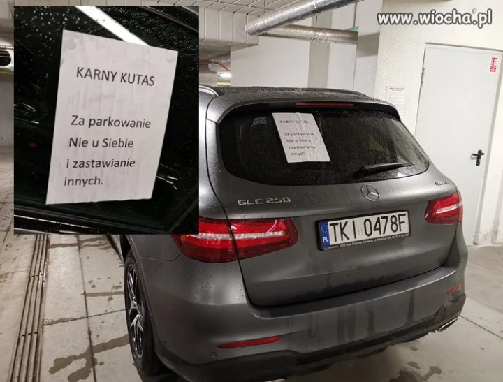 Karny Kutas ciągle w modzie.