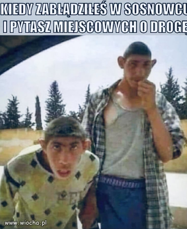 Trochę humoru 