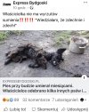 Bydlę nie człowiek 