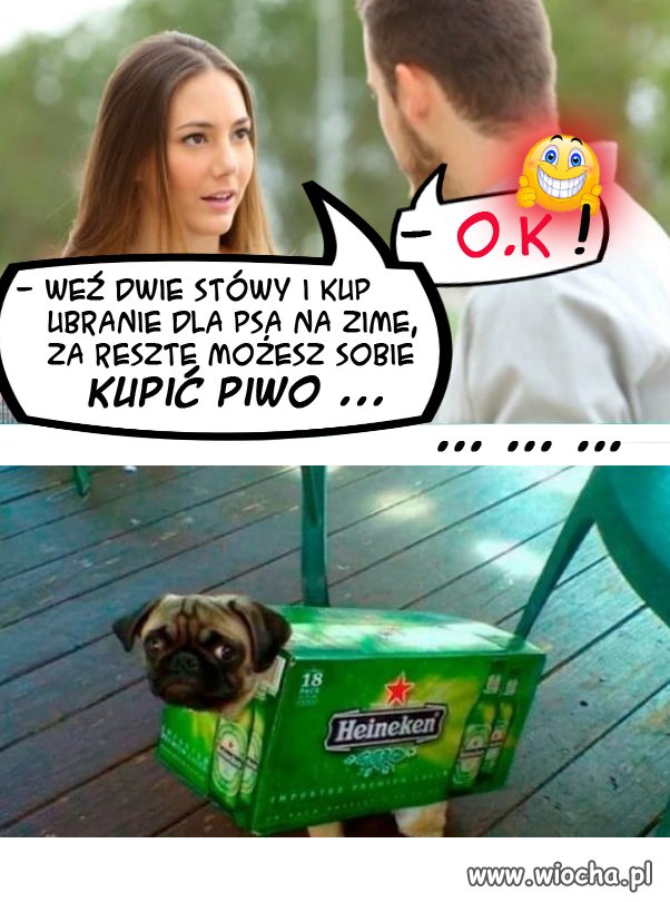  Ubranie kup...