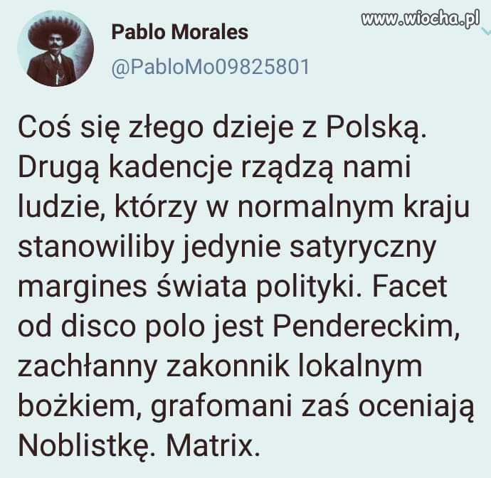 Dziwny jest ten... 