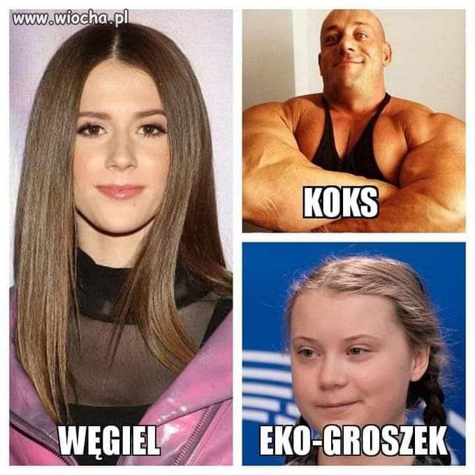 Eko-groszek