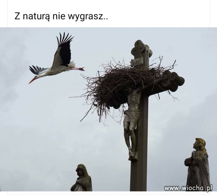 Tymczasem
