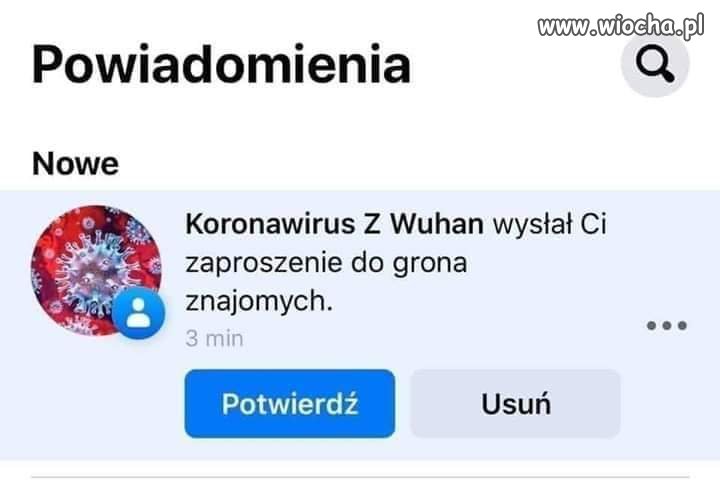 Dobry ziomek